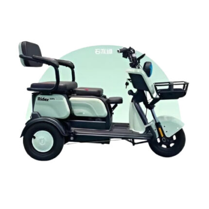 3-Wheel Adjustable Electric Vehicle